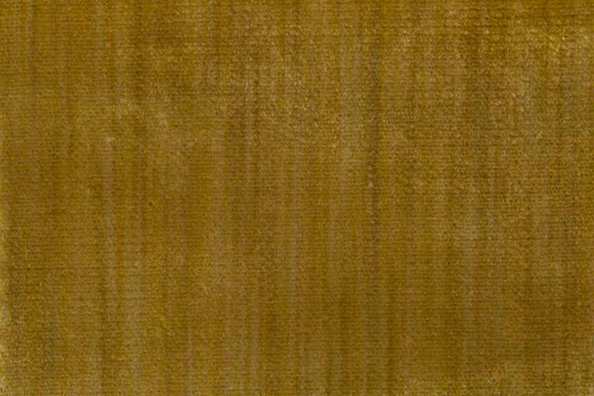 MSV-GOLD