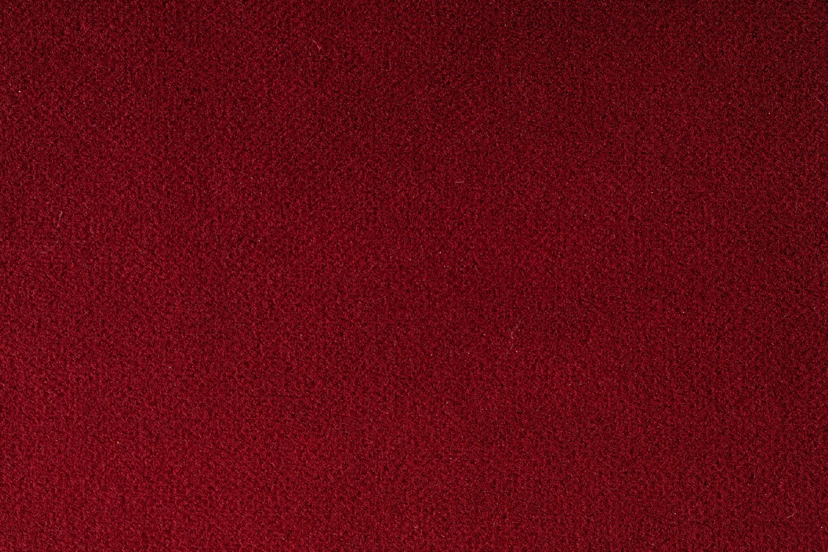 FL-K-19