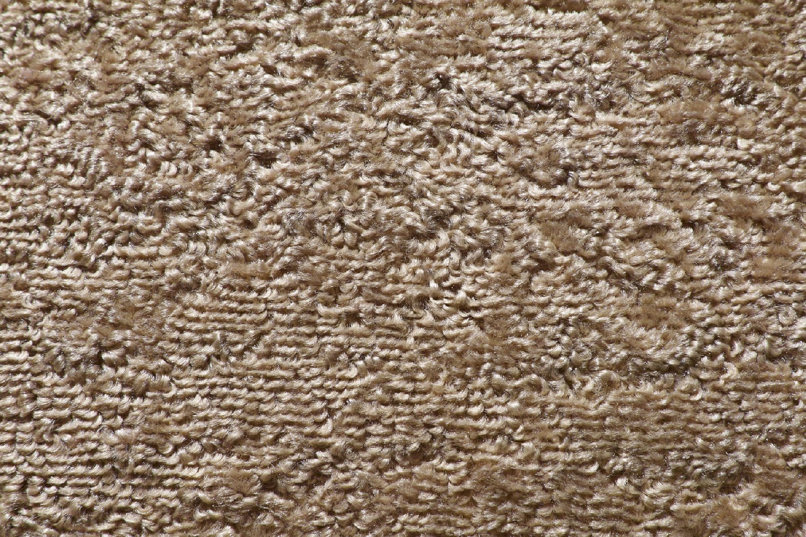 FL-Q-008