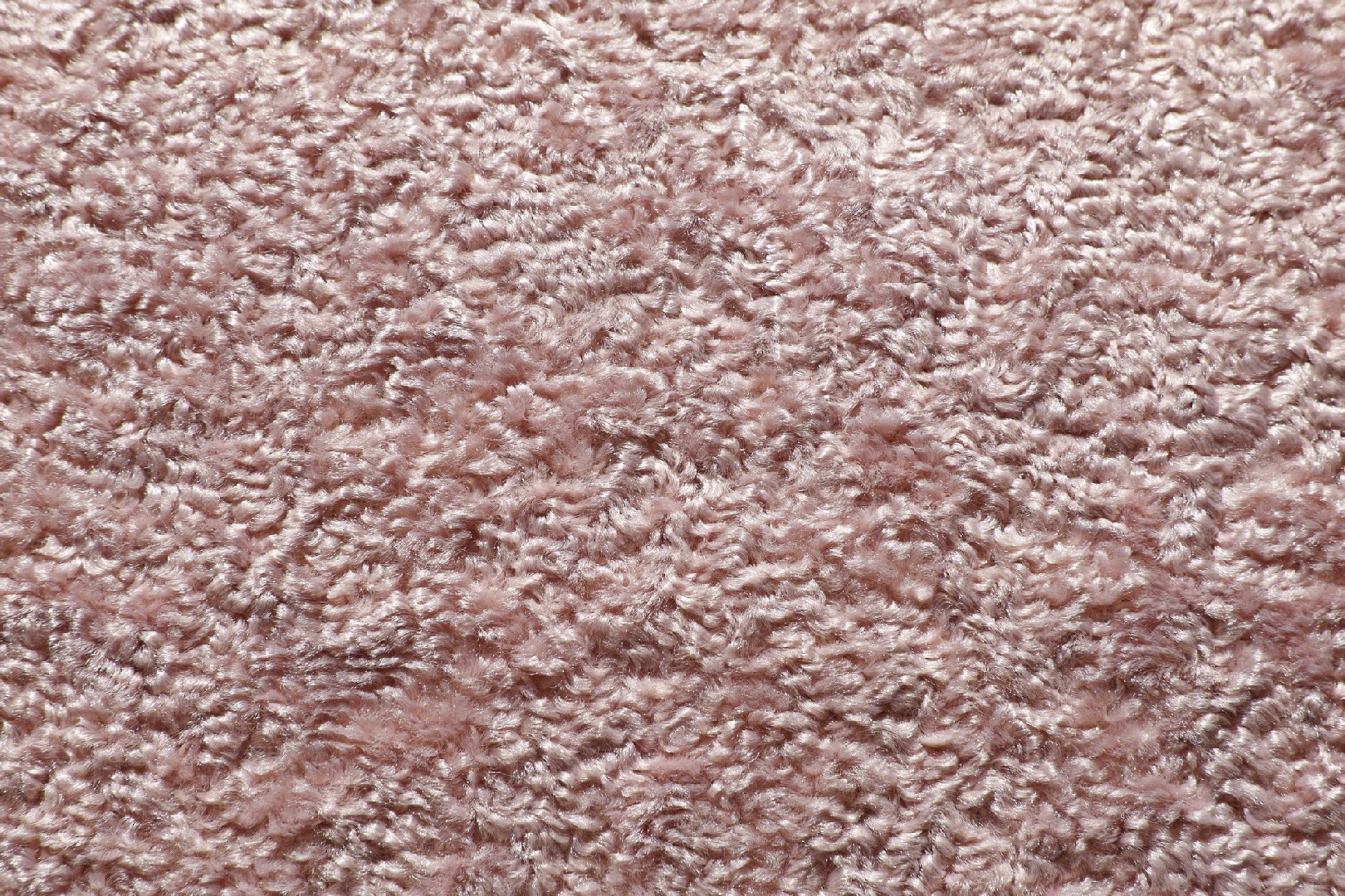FL-Q-009