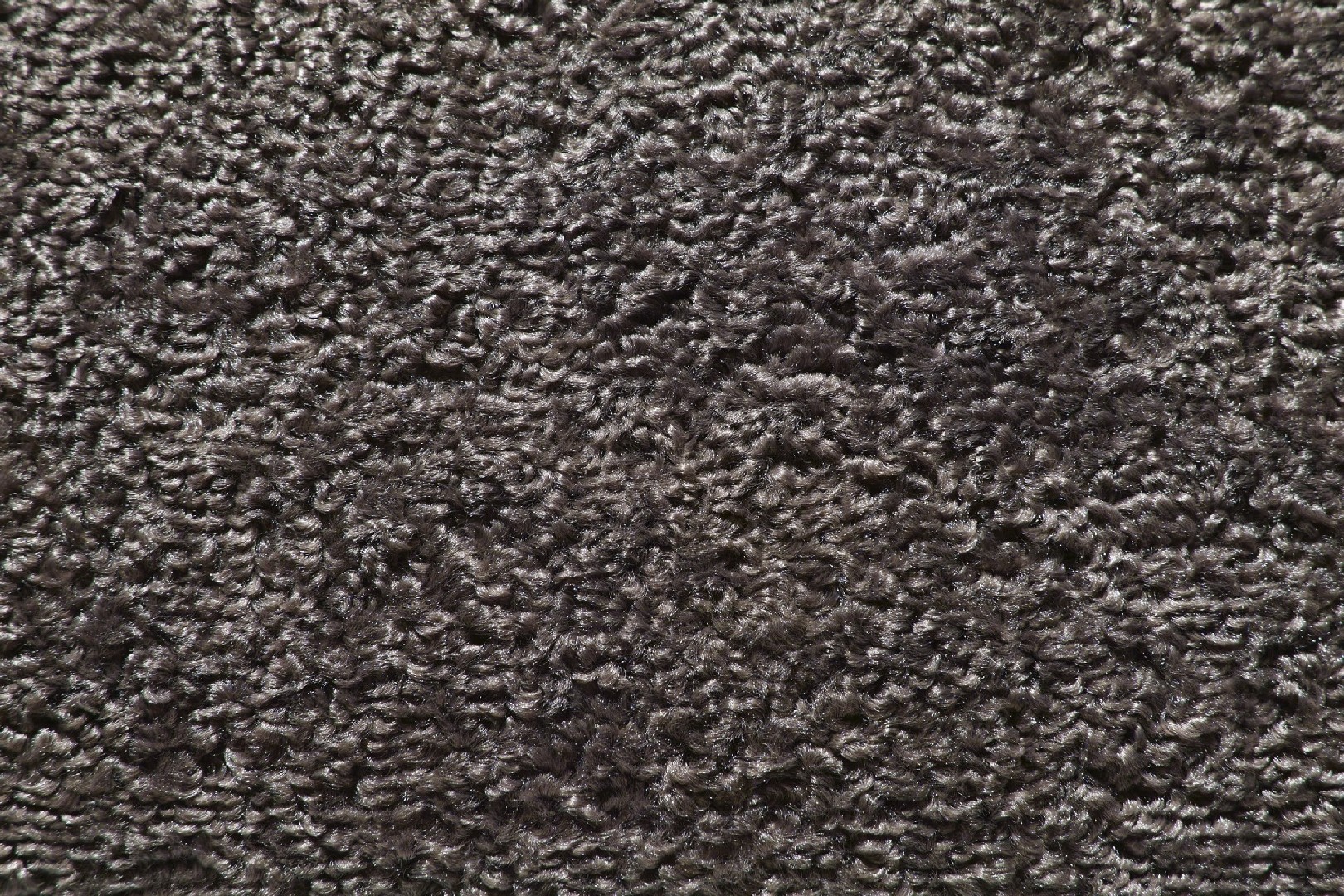 FL-Q-019