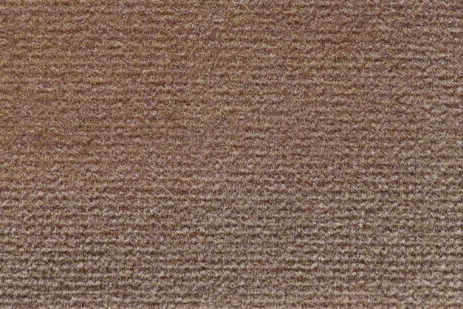 FL-9901-6